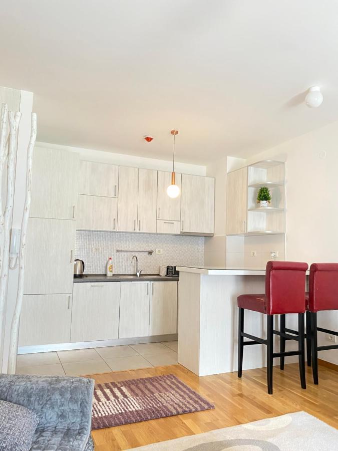 Apartman Vesna City 2. Pg 포드고리차 외부 사진